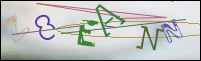 Registration Image