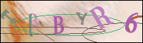 Registration Image