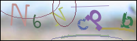Registration Image