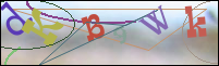 Registration Image