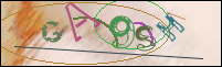 Registration Image