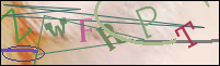 Registration Image