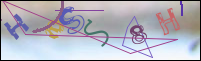 Registration Image