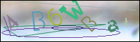 Registration Image