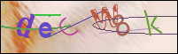 Registration Image