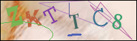 Registration Image