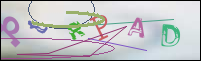 Registration Image