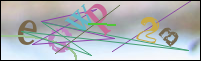 Registration Image