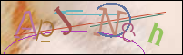 Registration Image