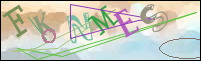 Registration Image