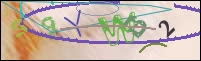 Registration Image