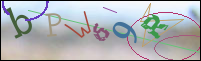 Registration Image