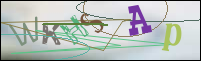 Registration Image
