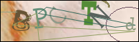 Registration Image