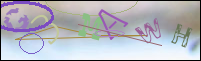 Registration Image