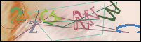 Registration Image