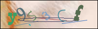 Registration Image