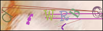 Registration Image