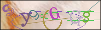 Registration Image
