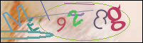 Registration Image
