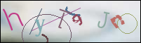 Registration Image
