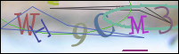 Registration Image