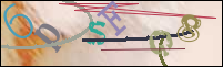 Registration Image
