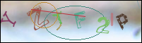 Registration Image