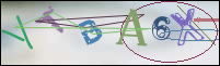 Registration Image