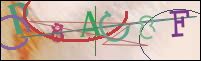 Registration Image