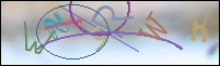 Registration Image