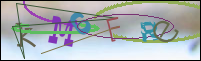 Registration Image