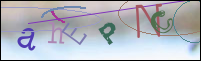 Registration Image