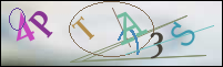 Registration Image