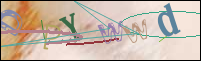 Registration Image