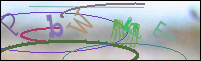 Registration Image