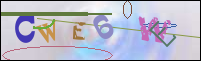 Registration Image