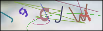 Registration Image