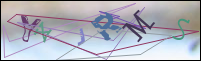 Registration Image