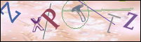 Registration Image