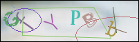 Registration Image