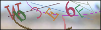 Registration Image