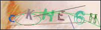 Registration Image