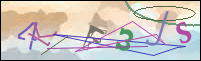 Registration Image