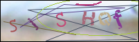 Registration Image