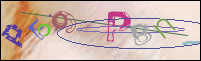 Registration Image