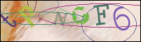 Registration Image