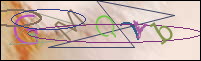 Registration Image
