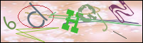 Registration Image