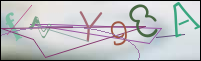 Registration Image